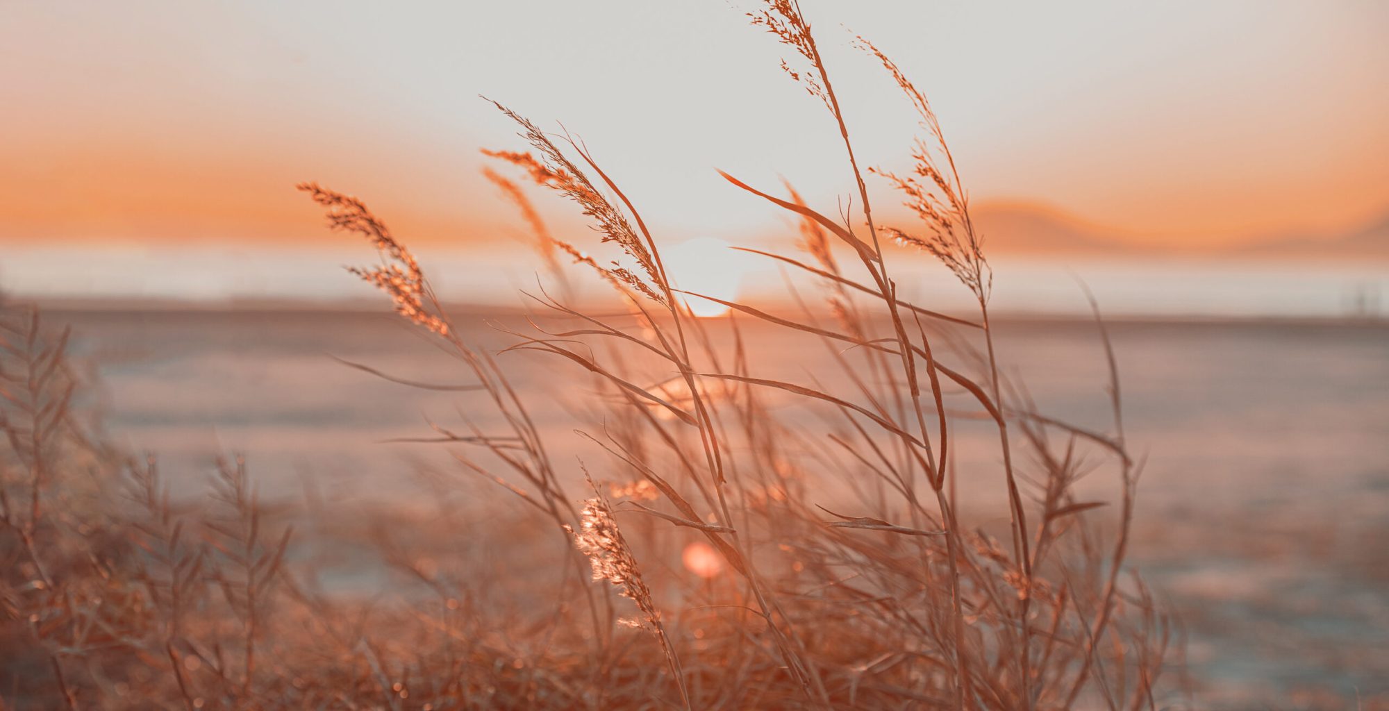 숨 자연사진 3